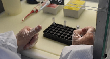 20 yıldır aşıyı bekleyen 'kene' kabusu