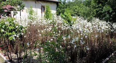 Akzambak hasatına başlayan Erdi Aydemir: sezonda 500 bin kazanıyoruz