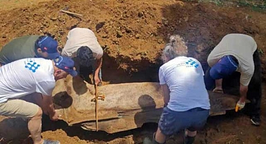 Antalya'da gömülen balinanın kemikleri, bilimin hizmetinde