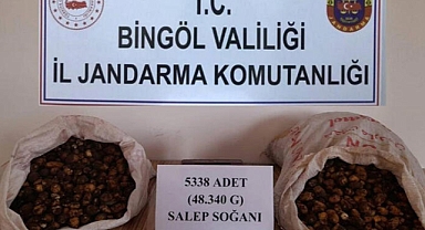 Bingöl’de salep soğanı toplayan 5 kişiye 1 milyon 221 bin lira ceza
