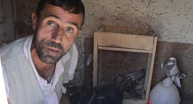 Erzurum'da tarlasına yaptırdığı barakada ölü bulundu