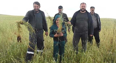 Fazla yağış çiftçiyi üzdü