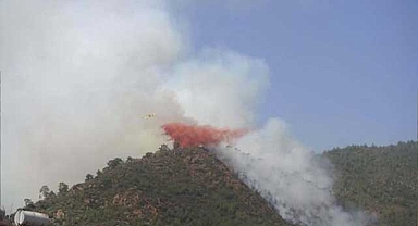 Ormanı ve cesedi yakan şüpheli serbest