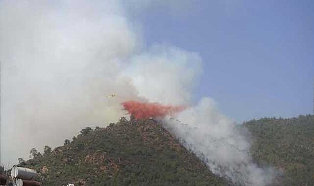 Ormanı ve cesedi yakan şüpheli serbest