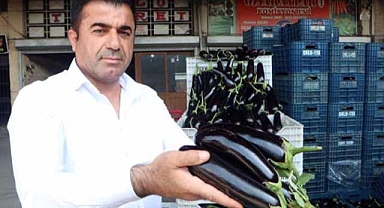 Patlıcanın fiyat farkı görenleri hayrete düşürdü