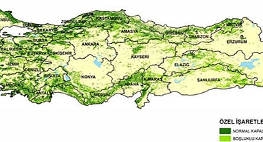 Türkiye'nin en yeşil şehirleri