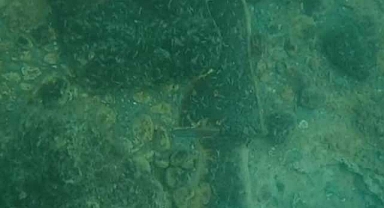 Van Gölü'nde 'su künkü' bulundu