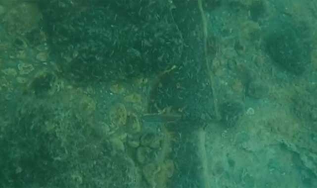 Van Gölü'nde 'su künkü' bulundu