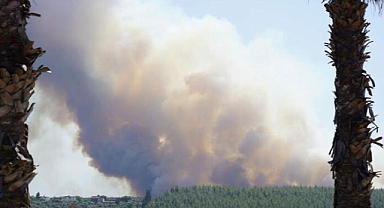 160 hektar alanın küle döndüğü yangın...