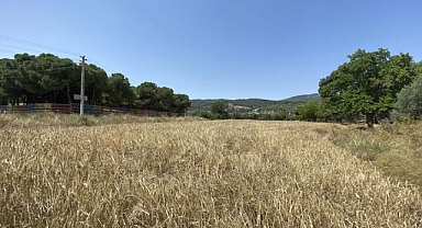 'Botanik Turizm Rotası Oluşturma' Önerisi