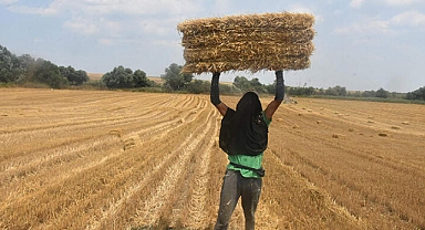 Bu Sıcakta Herkes Çalışamaz
