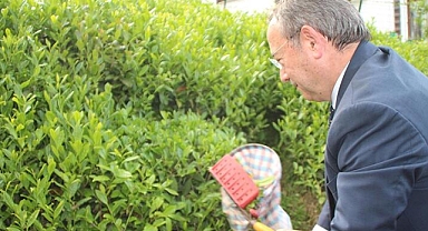 Çaykur'dan zam yağmuru!