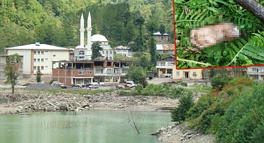 Derede Bulunan Kopmuş Ayak İçin Şok Başvuru!