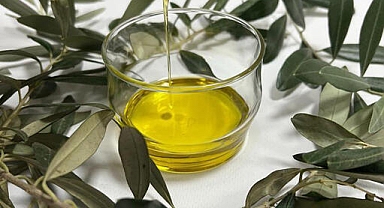 Edremit Zeytinyağı Türkiye'nin AB'de Coğrafi İşaret Tescilli 13'üncü Ürünü Oldu