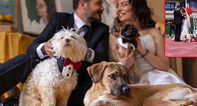 Felçli köpeğe yürüteç yaparken tanışıp evlenen çift'ten jest