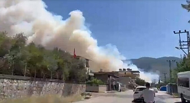 Hatay’da orman yangını