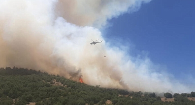 Kahramanmaraş'ta orman yangını