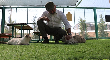 Kayseri'de İlk Olan 'Küçük Dostlar Kedi Kasabası' Uluslararası Ajanslarda'da Gündem'de Yer Buldu