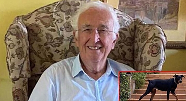 Köpeği ile dolaşmaya çıkmıştı..