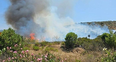 Makilik yangını, ormana sıçradı