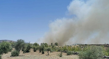 Milas'ta korkutan orman yangını