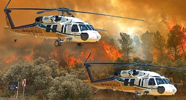 Milas'taki orman yangınında 170 hektar alan yandı