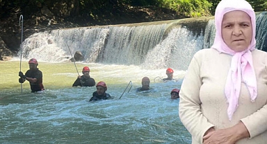 Ordu'da dereye düşen kadın hala aranıyor