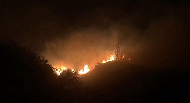 Orman yangınına neden olan şüpheli tutuklandı