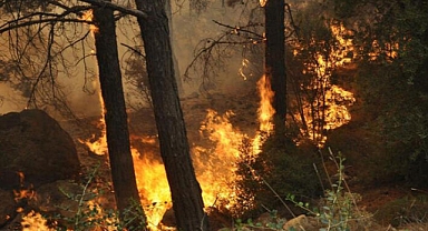 Orman yangınlarında Akdeniz ve Güney Ege'de 'çok aşırı tehlike' uyarısı