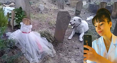 Tedavisini üstlendiği sokak köpekten ahte vefa