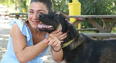 Zeytin'in Almanya yolculuğu