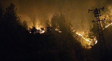 Andırında ki Ormanla İlgili Olay Yaratan Açıklamalar...
