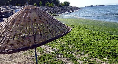 Avcılar sahilinin son hali görenleri şaşırttı