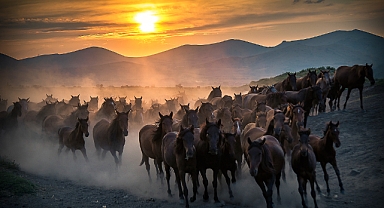 Başkan Büyükkılıç'tan Cumhurbaşkanı Erdoğan'a Teşekkür,Doğa Tutkunlarına Davet...