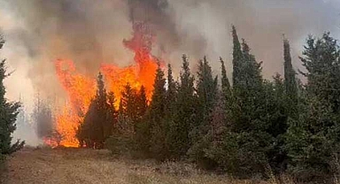 Çanakkale'de orman yangınına müdahele 