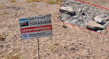 Caretta caretta yuvası üzerinde mangal ateşi yaktılar
