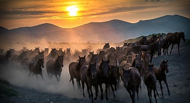 Kayseri'de Hürmetçi Sazlığı 'Kesin Korunacak Hassas Alan' İlan Edildi