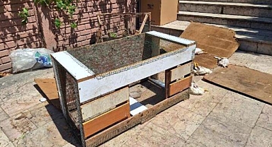 Kocaeli'nde Petshop Katliamı!