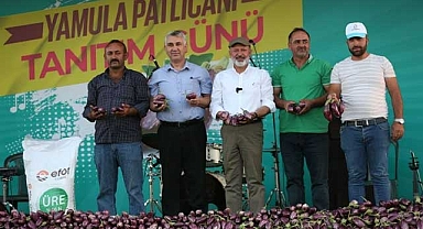 Kocasinan'da 'yamula patlıcanı festivali'ne 10 binlerce kişi katıldı