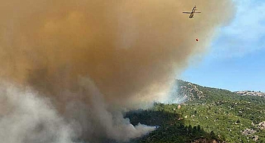 Orman yangınında 3. gün