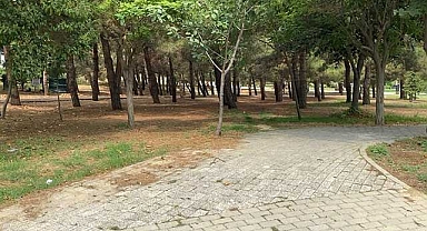 Parkta yürürken silahlı saldırıya uğradı!