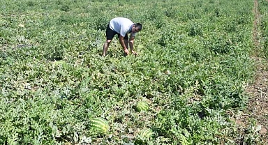 Poşetleme Sistemi İle Kuraklığı Yendi...
