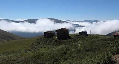 Prof. Dr. Kadıoğlu: Karadeniz'e hücüm olacak