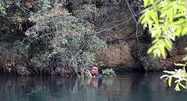 Tutunduğu ağaç dalı hayatını kurtardı