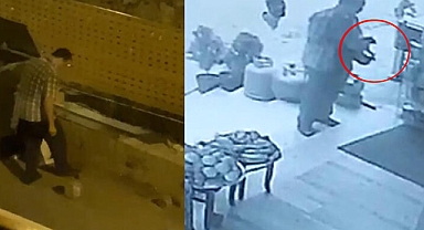 Yavru Kedi Katili Adam İçin Yine Flaş Karar!