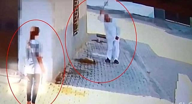 Yavru köpeği demirle vurarak öldürdü!