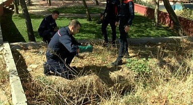 Akşemsettin Mahallesin'de kimyasal madde bulundu 