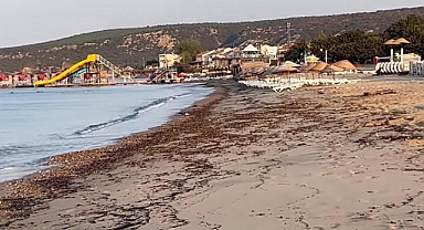 Çanakkale yangınının izleri, Edirne kıyılarına vurdu...