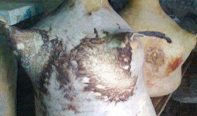Develi İlçesi Zile Kasabasında unutulmaya yüz tutan bir lezzet,