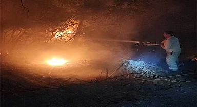 İzmir'de çıkan yangınları söndürmek için çalışmalar sürüyor